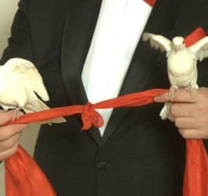 Twin Doves Production