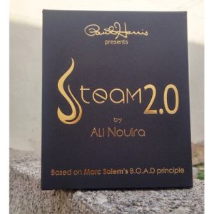 Steam 2.0 af Ali Nouira