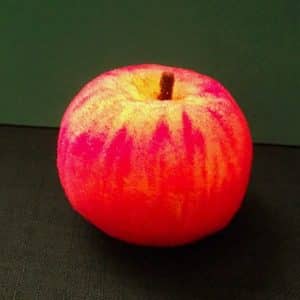 Sponge Apple - Alexander May