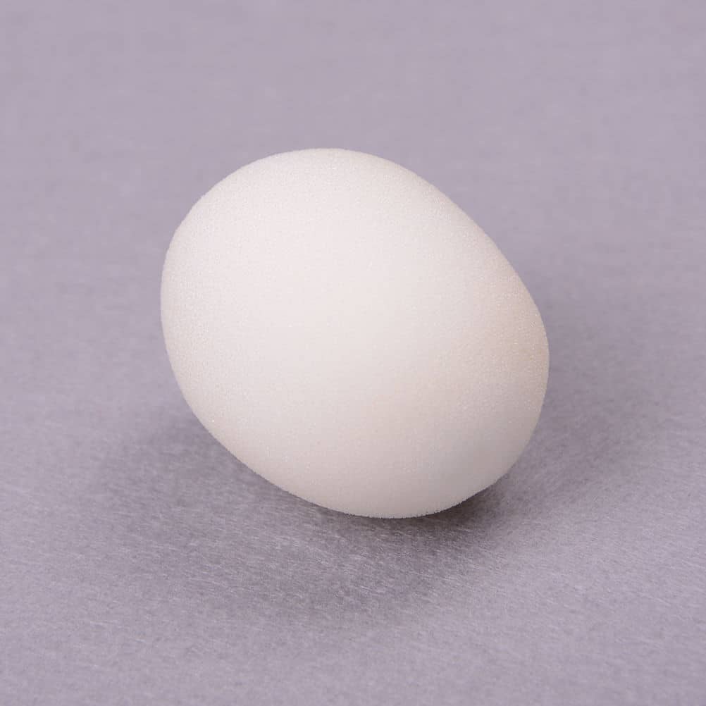 Sponge_Egg_00